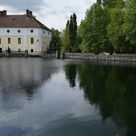 Apartman Mónika *